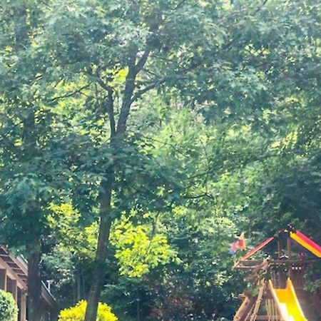 Happy Bear Hollow Sevierville Exterior foto