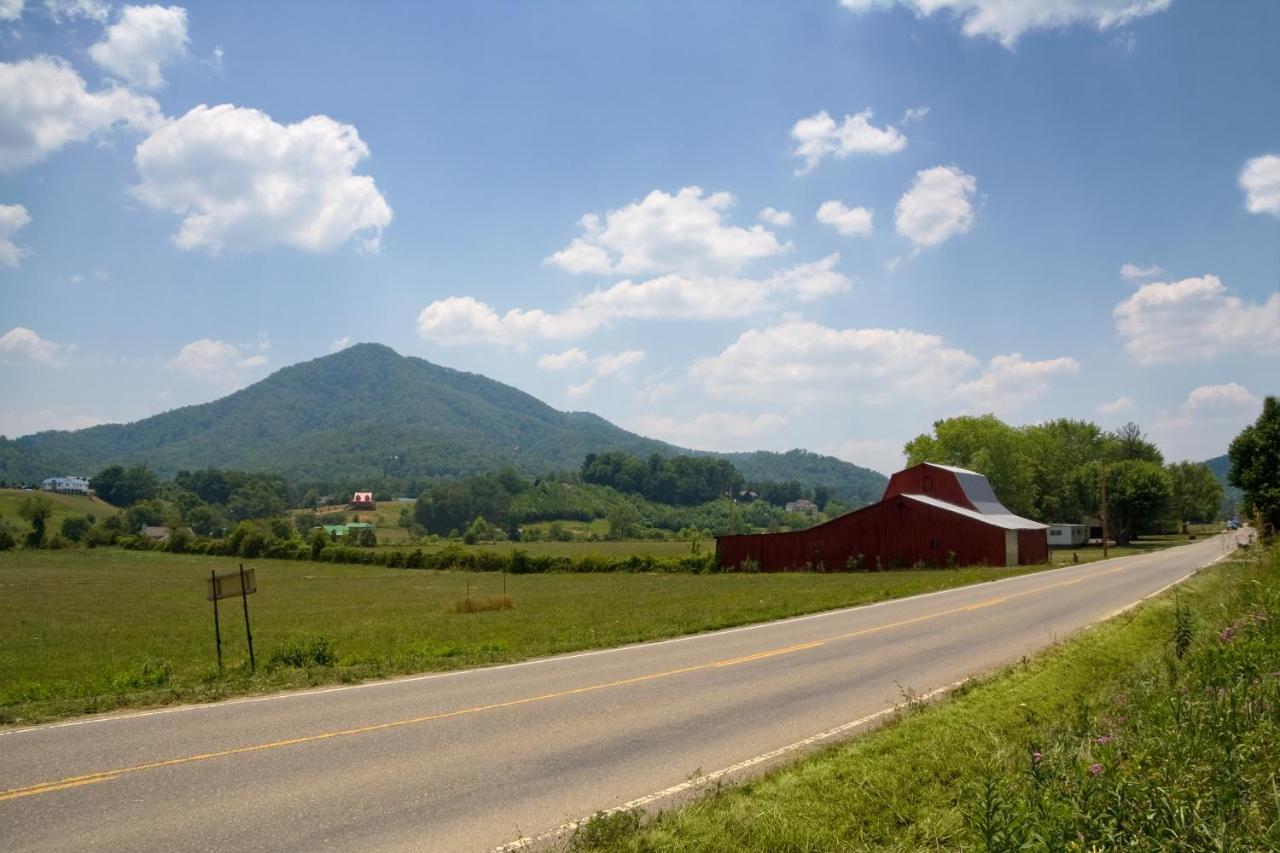 Happy Bear Hollow Sevierville Exterior foto
